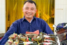 カーマウ産のカニにはトレーサビリティタグが貼付されており、国内の他地域産のカニと混同されることがないよう管理されている。