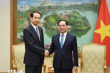 ブイ・タイン・ソン副首相（右）と駐ベトナム・中国大使の何煒氏が、11月17日に会談した。（写真：VNA）。