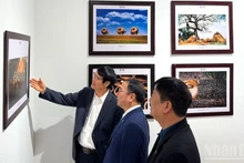 写真展を訪れる来場者たち