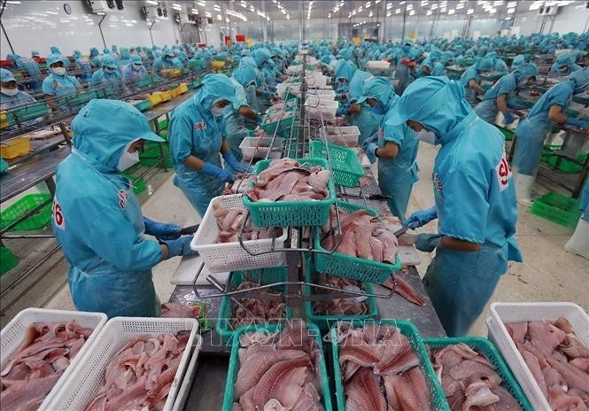 輸出用の水産物を加工する労働者たち（写真：VNA）