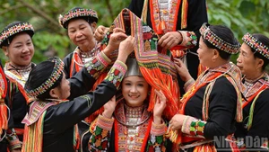 ラオカイ省タンリンにおける赤ザオ族女性の婚礼衣装。