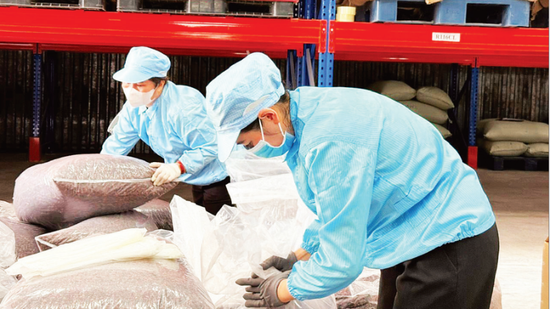 シメクスコ・ダクラク社でコーヒー・ハスク（カスカラティー）を輸出用にパッケージングする様子（写真：ミン・アン）