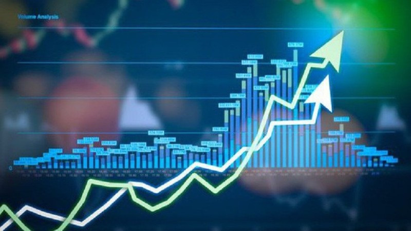 写真はイメージです