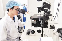 ホーチミン市国家大学における科学研究の様子