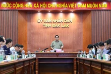 会議で発言するファム・ミン・チン首相（写真：VGP）