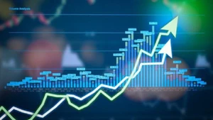 写真はイメージです