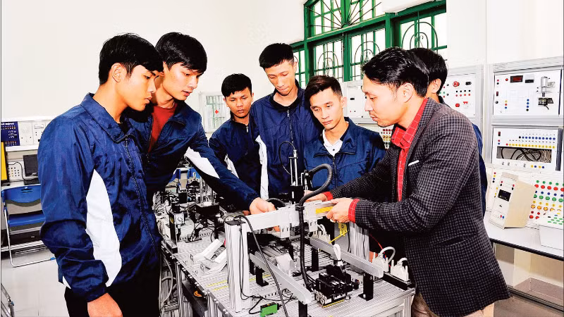 ラムドン省ダラット短期大学の学生による実習の様子（写真：TUE NGHI）