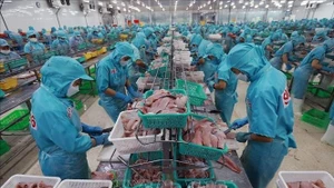 輸出用の水産物を加工する労働者たち（写真：VNA）