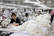 輸出向け衣料の縫製作業（写真：チャン・ヴィエット／VNA）