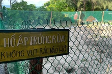 コンダオは、ベトナムのウミガメ保護活動の最も重要な拠点の一つである。（写真：ディン・ナム）