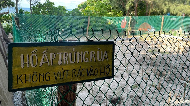 コンダオは、ベトナムのウミガメ保護活動の最も重要な拠点の一つである。（写真：ディン・ナム）