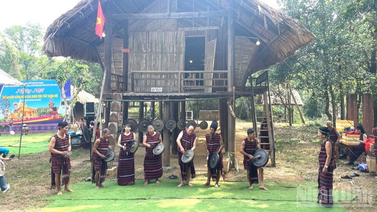週間中には多彩で魅力的な活動が行われます。