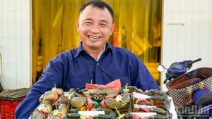 カーマウ産のカニにはトレーサビリティタグが貼付されており、国内の他地域産のカニと混同されることがないよう管理されている。