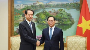 ブイ・タイン・ソン副首相（右）と駐ベトナム・中国大使の何煒氏が、11月17日に会談した。（写真：VNA）。