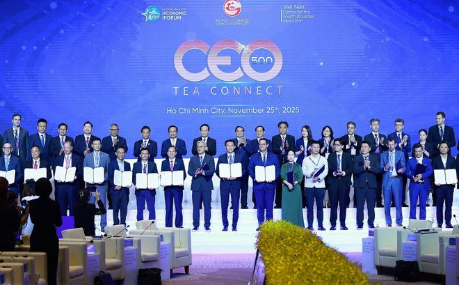 251125-tea-connect.jpg