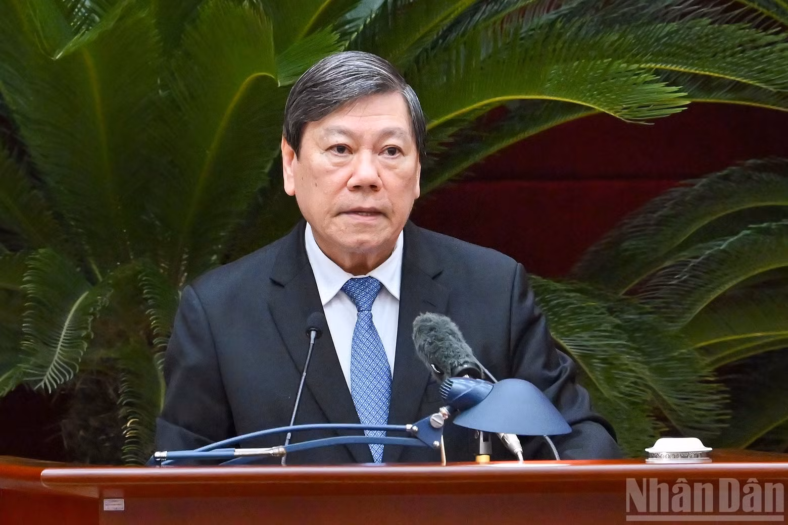 党中央検査委員会常任副委員長チャン・ヴァン・ロン氏が会議で報告を行った。