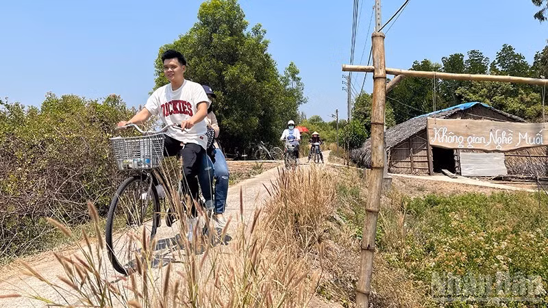 ホーチミン市タインアン社のティエンリエンを自転車で巡る観光客たち（写真：リン・バオ）